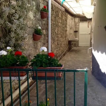 Apartment Piano Terra Con Giardino *