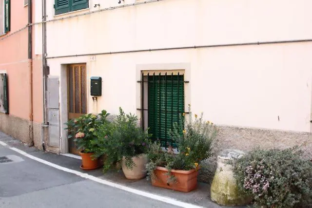 Piano Terra Con Giardino Apartman